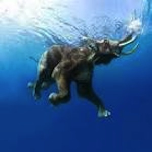 The Andaman and Nicobar Islands is a Union Territory of India The Andaman and Nicobar Islands is a Union Territory of India